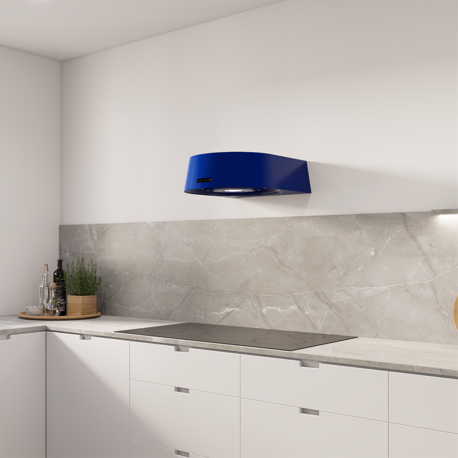 Conus80_monochromeblue