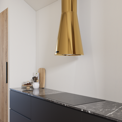 Conus81_poleretmessing